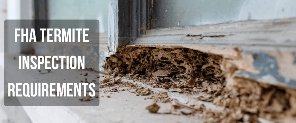 FHA termite inspection article image